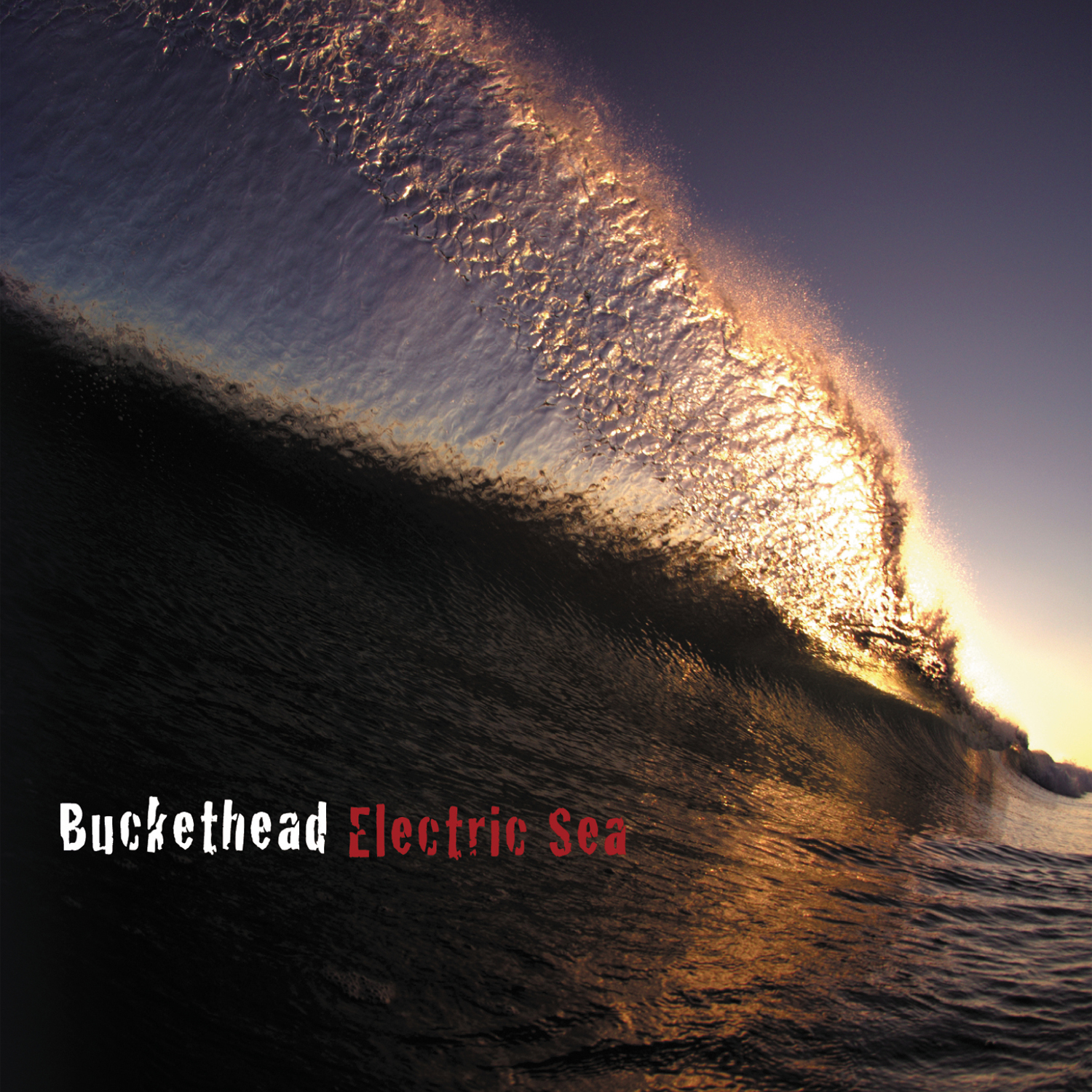 Buckethead-Electric Sea-CD-FLAC-2012-GRAVEWISH