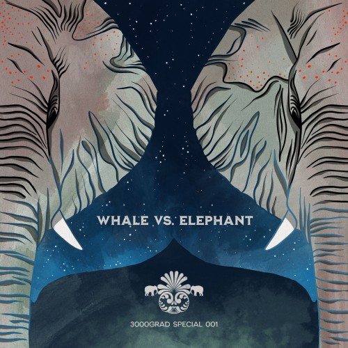 Whale vs. Elephant - Lighthouse (2019) Download