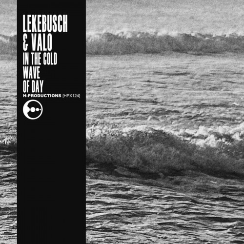 Lekebusch & Valo - In The Cold Wave of Day (2023) Download