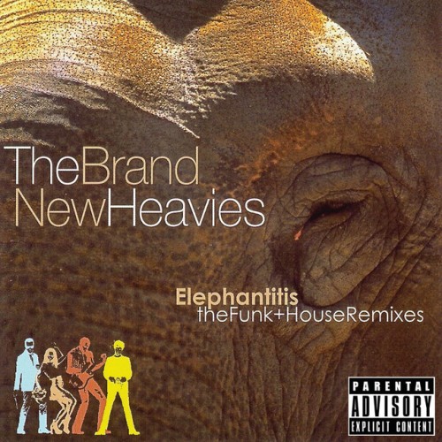 The Brand New Heavies – Elephantitis The Funk And House Remixes (2007)