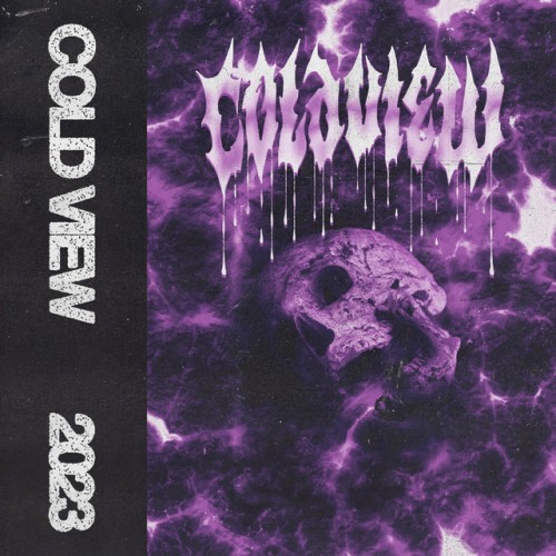Cold View – Hardcore Pride (2023)
