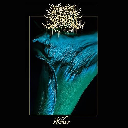 Bleeding Sorrow - Wither (2023) Download