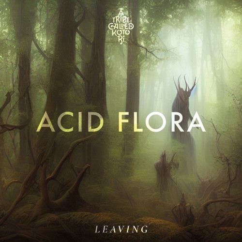 ACID FLORA - Leaving (2023) Download
