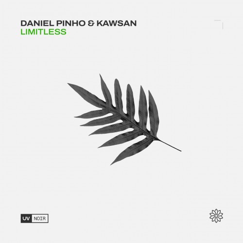 Daniel Pinho (US) & KAWSAN – Limitless (2023)