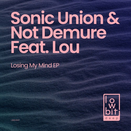 Sonic Union & Not Demure ft Lou – Loosing My Mind (2023)