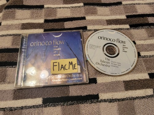 The Taliesin Orchestra - Orinoco Flow The Music Of Enya (1996) Download