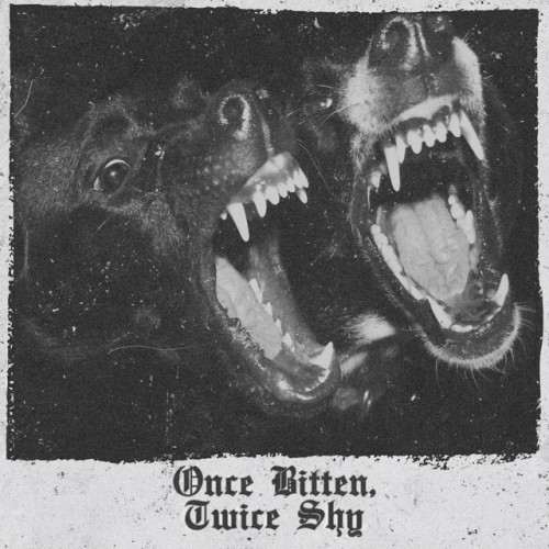 Iodine - Once Bitten, Twice Shy (2023) Download