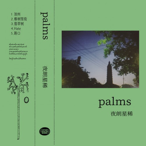 PALMS - 夜朗星稀 (2023) Download