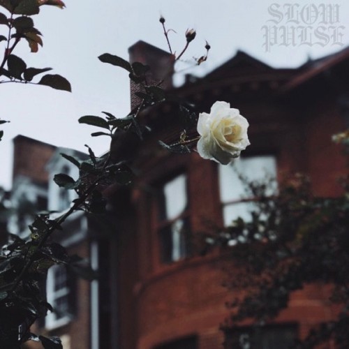 Slow Pulse - No Room For Goodbyes (2023) Download