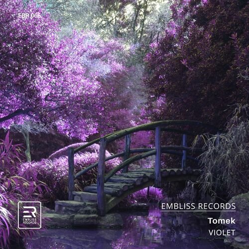 Tomek - Violet (2023) Download