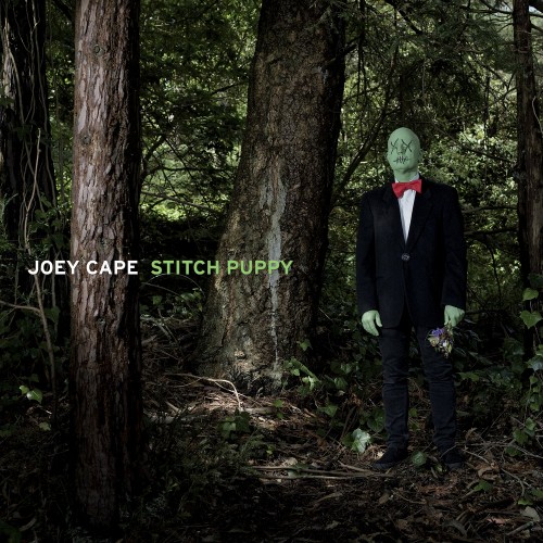 Joey Cape – Stitch Puppy (2015)