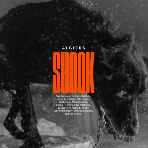 Algiers-Shook (Deluxe Edition)-16BIT-WEB-FLAC-2023-ENRiCH