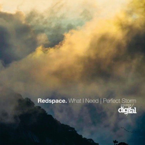 Redspace – What I Need | Perfect Storm (2023)