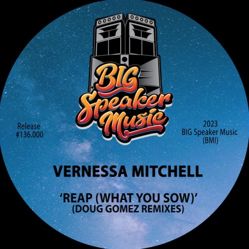 Vernessa Mitchell - Reap (What You Sow) (Doug Gomez Remixes) (2023) Download