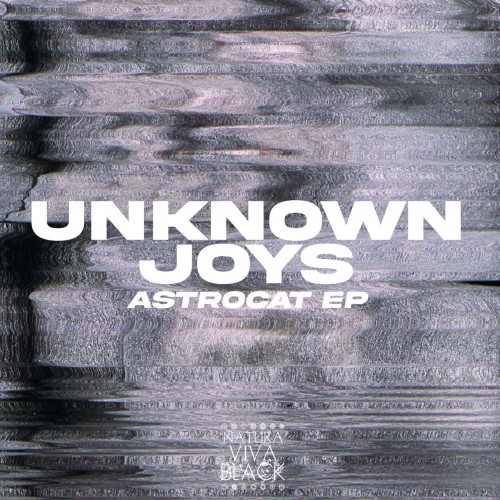 unknown joys – AstroCat Ep (2023)