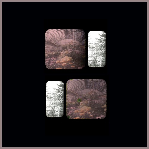 E-Mertz - Iron Forest Anomaly LP (2022) Download