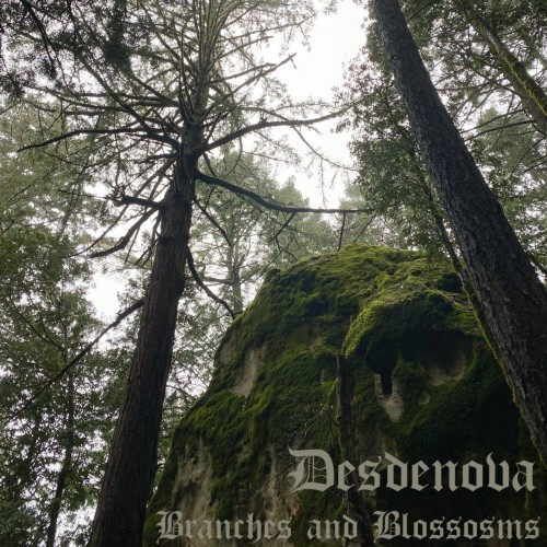 Desdenova - Branches And Blossoms (2023) Download