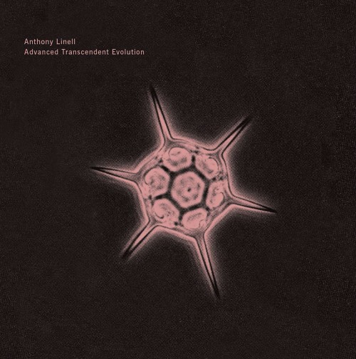 Anthony Linell - Advanced Transcendent Evolution (2023) Download