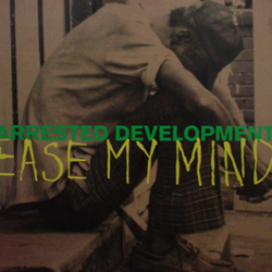 Arrested Development - Ease My Mind (1994) Download