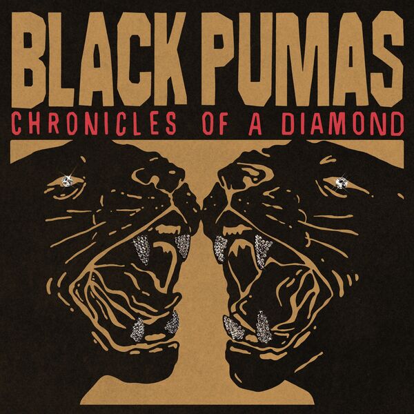Black Pumas – Chronicles of a Diamond (2023) [24Bit-96kHz] FLAC [PMEDIA] ⭐️
