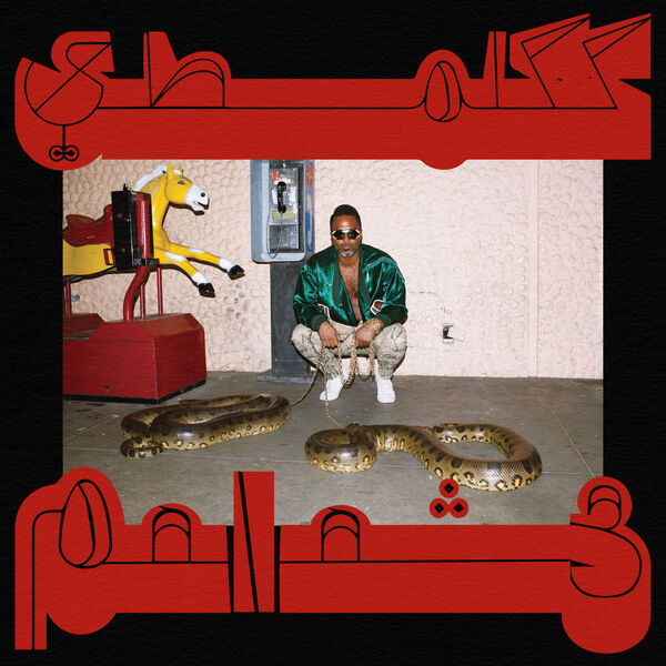 Shabazz Palaces - Robed in Rareness (2023) [24Bit-96kHz] FLAC [PMEDIA] ⭐️