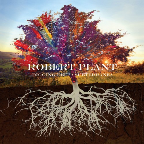 Robert Plant-Digging Deep Subterranea-(0190295214950)-2CD-FLAC-2020-WRE