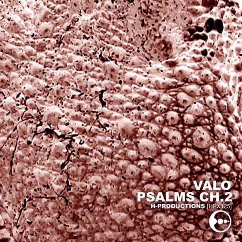 Valo - Psalms Ch.2 (2023) Download