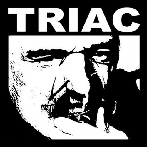 Triac - In The Blue Room (2008) Download