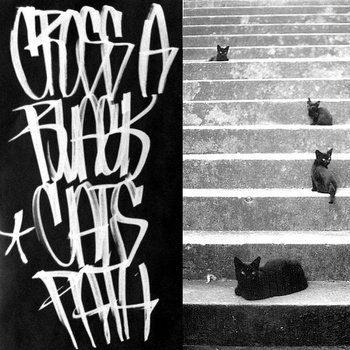 Wrong Answer - Cross A Black Cat's Path (2012) Download