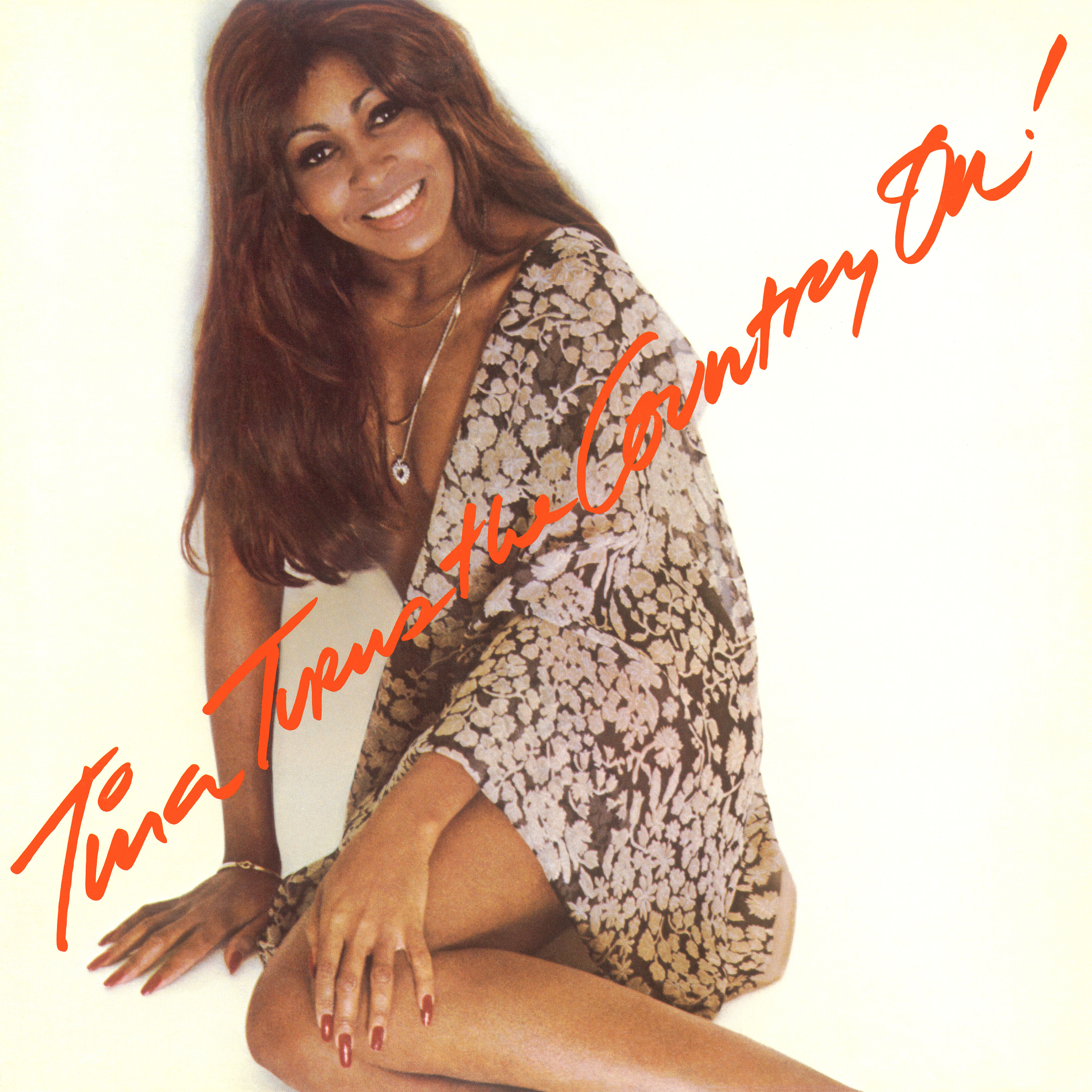 Tina Turner - Tina Turns The Country On! (2023) [24Bit-96kHz] FLAC [PMEDIA] ⭐️ Download