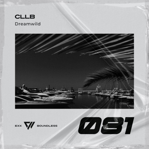 CllB - Dreamwild (2023) Download