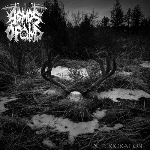 Ashes of Old - Deterioration (2023) Download