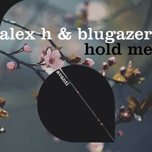 Alex H & Blugazer – Hold Me (2023)
