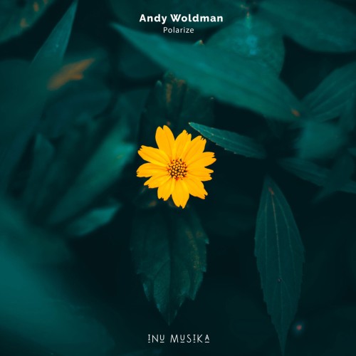 Andy Woldman - Polarize (2023) Download