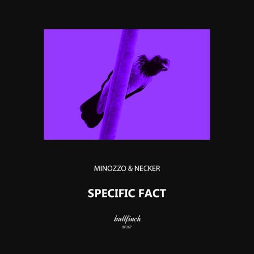 MINOZZO & Necker - Specific Fact (2023) Download
