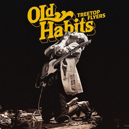 Treetop Flyers - Old Habits (2021) Download