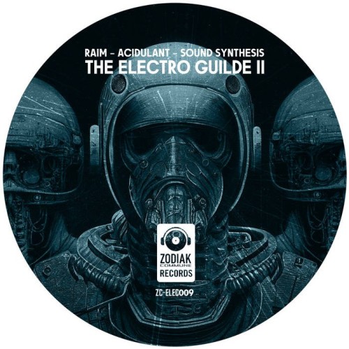 Sound Synthesis & Acidulant & RAIM - The Electro Guilde II (2023) Download