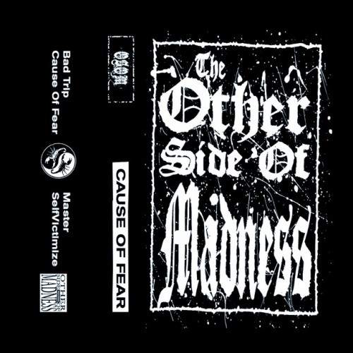 The Other Side Of Madness - Cause Of Fear (2023) Download