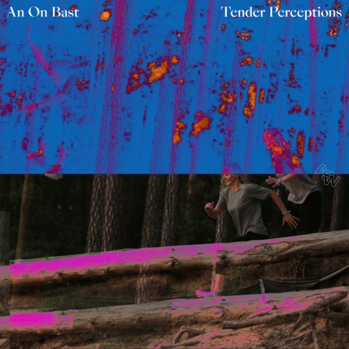 An On Bast - Tender Perceptions (2023) Download