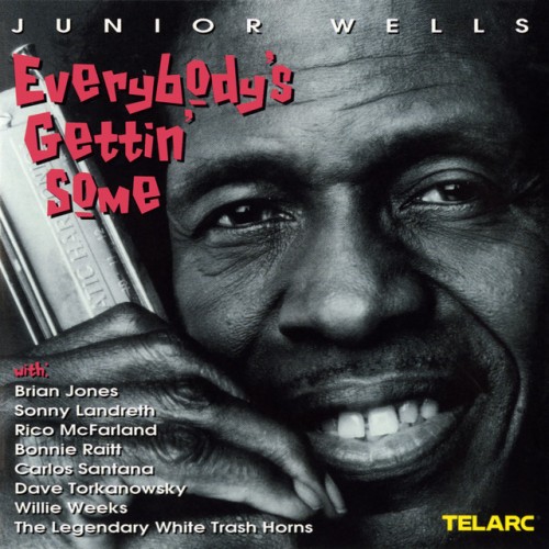 Junior Wells - Everybody's Gettin' Some (1995) Download