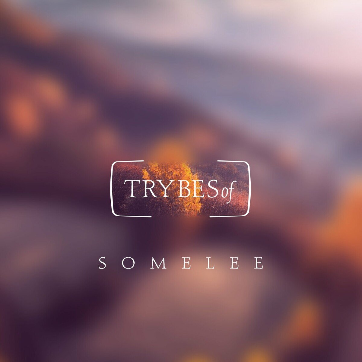 Somelee-Charisma-(try051)-16BIT-WEB-FLAC-2023-AFO Download
