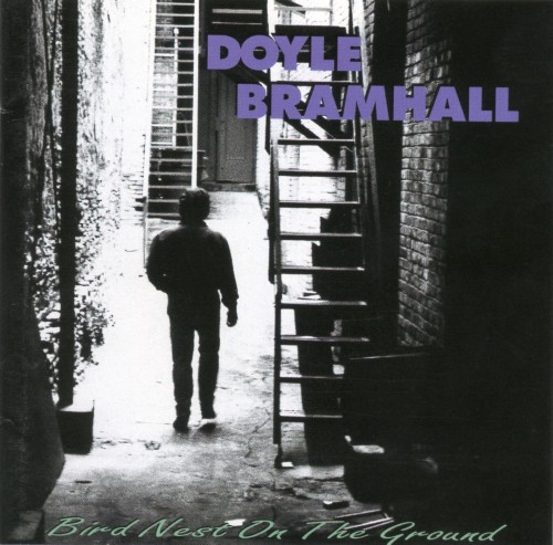 Doyle Bramhall II – Bird Nest On The Ground (1994)