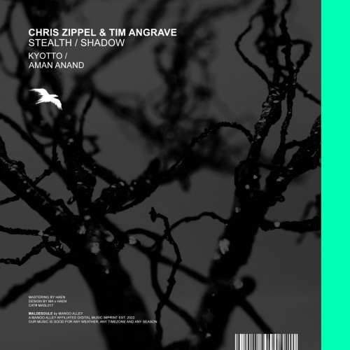 Chris Zippel & Tim Angrave - Stealth / Shadow (2023) Download