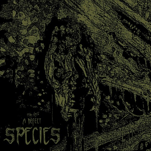 Species - A Defect (2023) Download