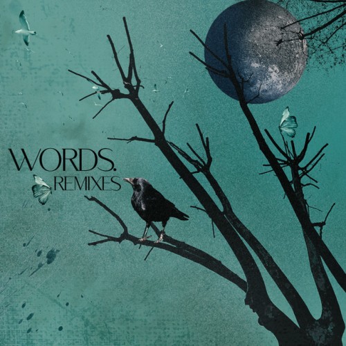 Ahmet Atakan – Words – Remixes (2021)
