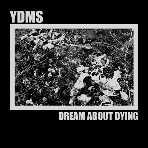 YDMS - Dream About Dying (2020) Download