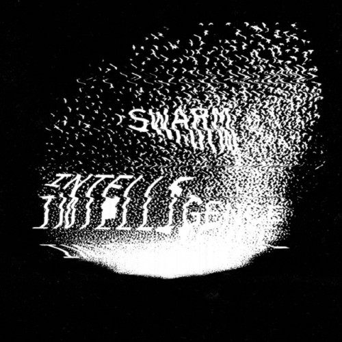 Swarm Intelligence – Swarm Intelligence 001 (2022)