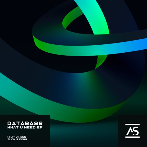 Databass (DE) - What U Need (2023) Download
