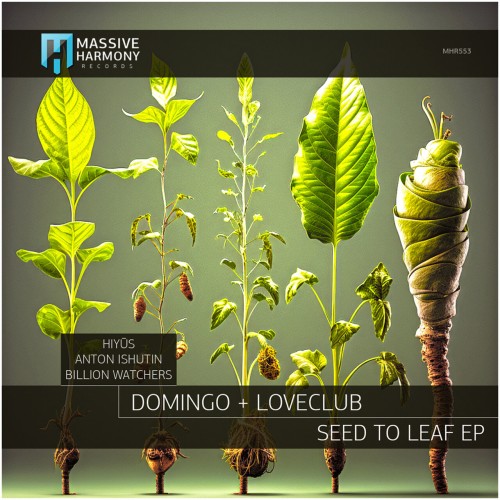 Domingo & Loveclub - Seed to Leaf (2023) Download