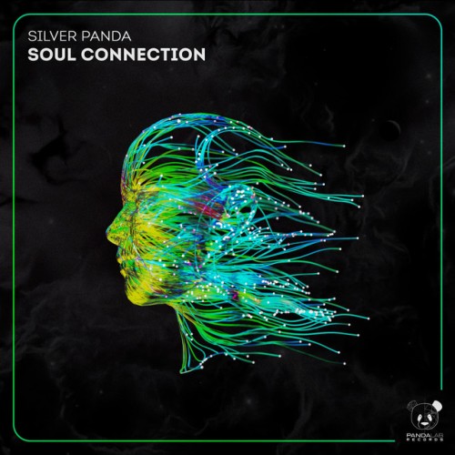 Silver Panda - Soul Connection (2023) Download